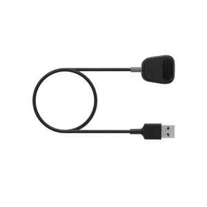 Fitbit FB172RCC Smart Personal Accessory Charging Cable, Black, Gray