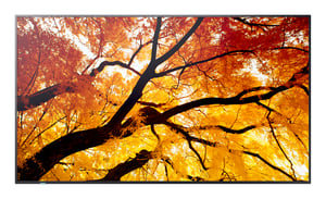 Sharp MultiSync M862 Płaski panel Digital Signage 2,18 m (86") LCD 550 cd/m² 4K Ultra HD Czarny 24/7
