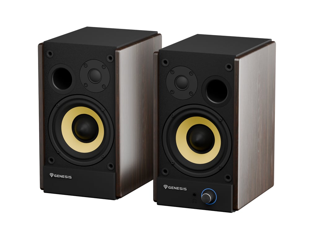 фото Акустические колонки Genesis Arsen 502BT Black/Brown (NGS-2418) 3