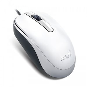 Genius Computer Technology DX-120 Mouse, Office, Ambidextrous, USB Type-A, Optical, 1000 DPI