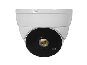 LevelOne ACS-5302 Industrial Dome Camera CCTV Security Camera Indoor and Outdoor Ceiling Mount