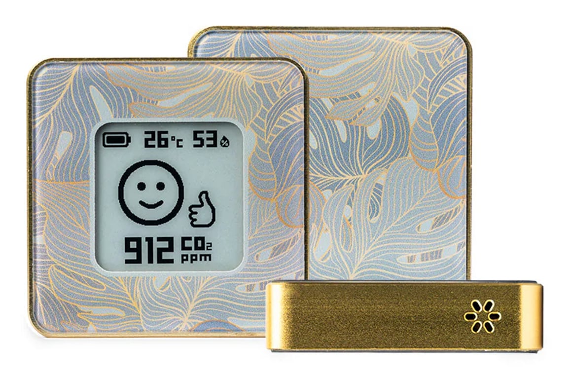 фото Метеостанція Airvalent AIRV-FLOR