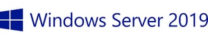 HPE Microsoft Windows Server 2019 1 x licens