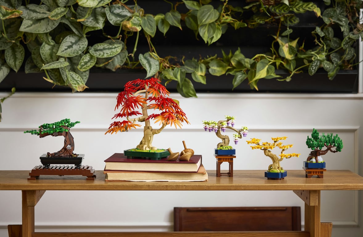 LEGO Botanicals Drzewko bonsai