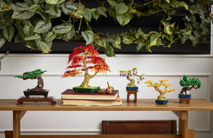LEGO Botanicals Drzewko bonsai