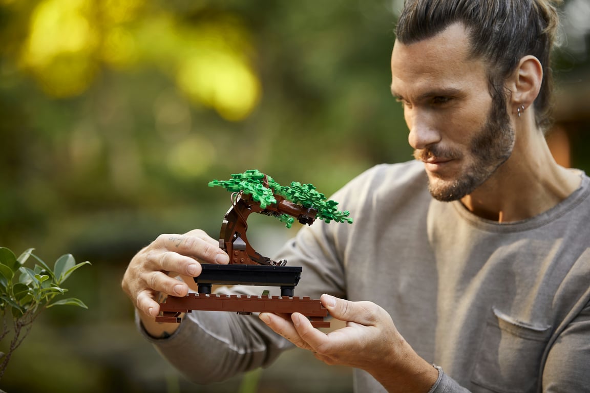 LEGO Botanicals Drzewko bonsai