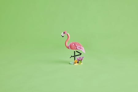 LEGO Creator Dzikie zwierzęta: różowy flaming