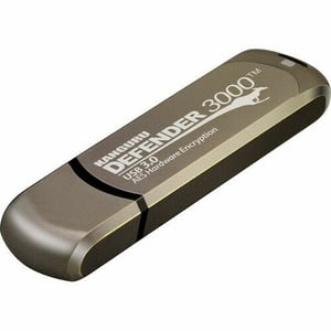 iStorage Kanguru Defender 3000 USB-Stick 256 GB USB Typ C 3.2 Gen 1 (3.1 Gen 1) Grau