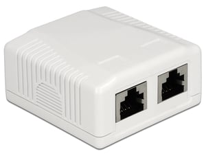 DeLOCK 86197 gniazdko elektryczne 2 x RJ-45 Biały