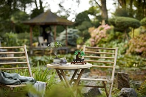 LEGO Botanicals Drzewko bonsai