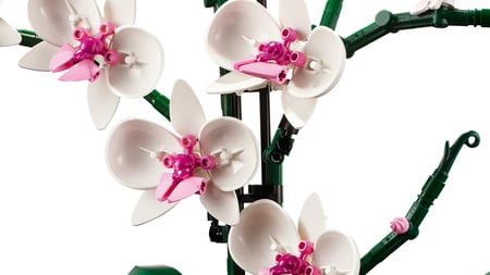 LEGO Botanicals Orchidea