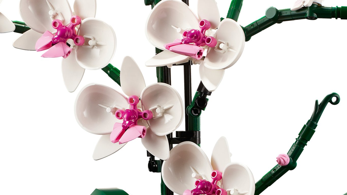 LEGO Botanicals Orchidea