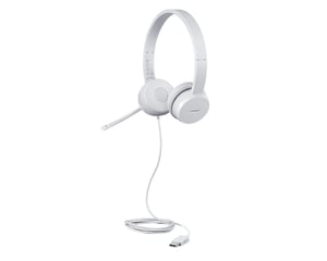 Lenovo GXD1E71385 Headphones/Headset Wired Wristband Calls/Music USB Type-A Gray