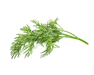 Click & Grow SGR49x3, 3 pcs. Dill Refill