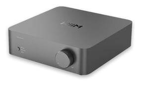 WiiM Vibelink Amp 1.0 kan. Wielofunkcyjny Szary
