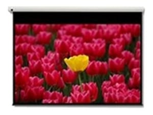 Optoma 16:9-Bildschirm 2656 x 1494 mm für Projektor, 3,05 m (120")