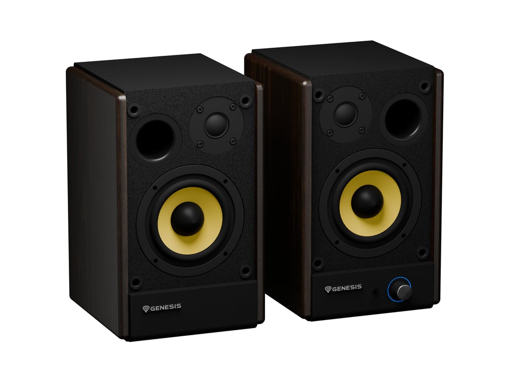 фото Акустические колонки Genesis Arsen 402BT Black/Brown (NGS-2416) 1