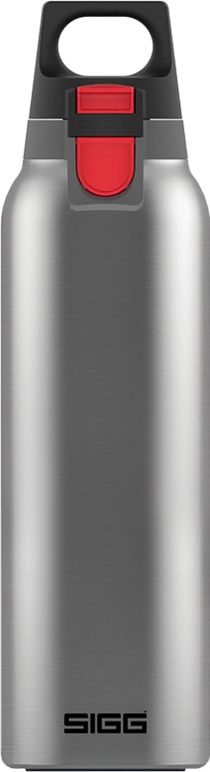 SIGG 8998.20 termos 0,55 l Stal szczotkowana