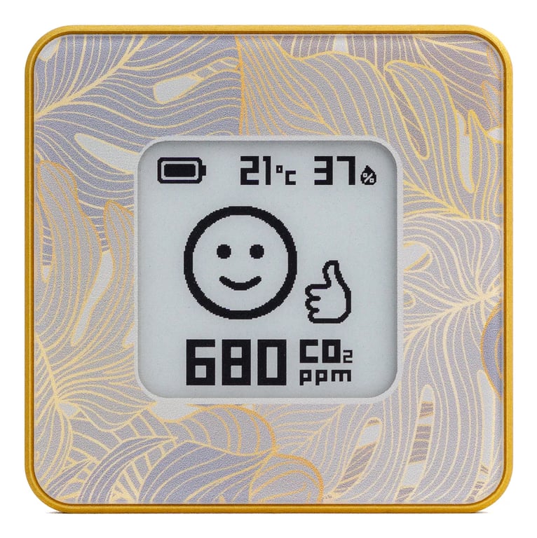 фото Метеостанція Airvalent AIRV-FLOR