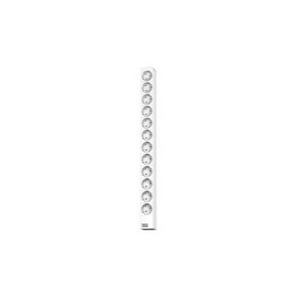 Bachmann 333.413 Stromverteilereinheit (PDU) mit 12 Netzanschlüssen, 1U, grau