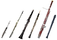 Träblåsinstrument