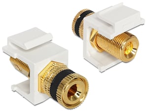 DeLOCK 86303 Schlüsselmodul