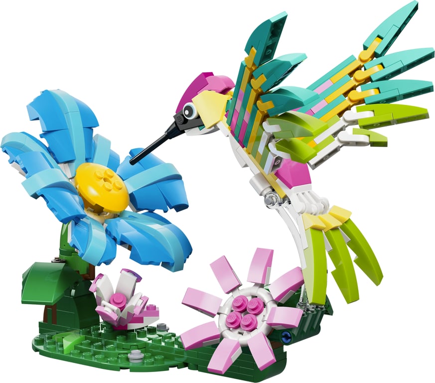 LEGO Creator Dzikie zwierzęta: kolorowy koliber