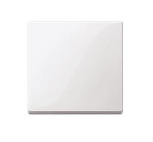 Merten 432119 Light Switch, Thermoplastic, White