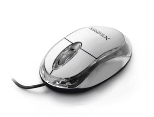 TITANUM XM102W myszka Podróżniczy Oburęczny USB Typu-A Optyczny 1000 DPI