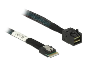 DeLOCK 85081 SAS cable, 0.5 m, 12 Gbit/s