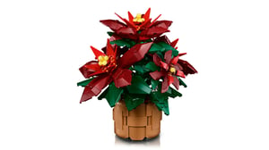 LEGO Botanicals Gwiazda Betlejemska