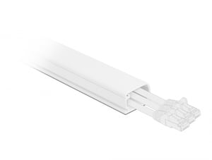 DeLOCK Cable Tray with Cover 35 x 20 mm - 1 m long, white