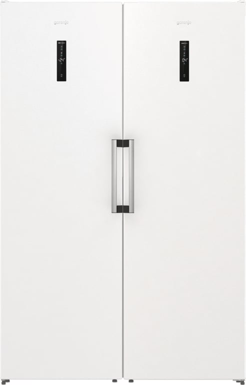Gorenje FN619EAW6 Zamrażarka wolnostojąca Wolnostojący 280 l Biały