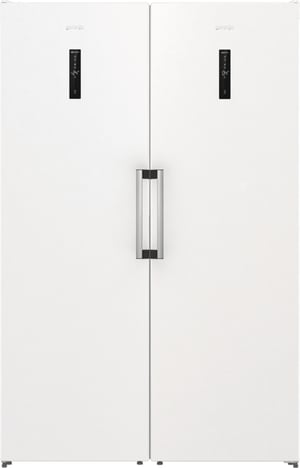 Gorenje FN619EAW6 Zamrażarka wolnostojąca Wolnostojący 280 l Biały