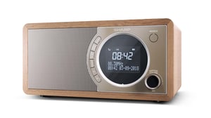 Sharp DR-450 Osobisty Cyfrowy Brązowy, Stal nierdzewna