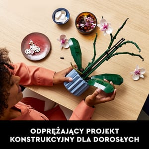 LEGO Botanicals Orchidea