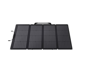 EcoFlow 50062001 Solarmodul 220 W, monokristallines Silizium
