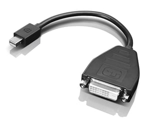 Lenovo 0B47090 0.2 m Mini-DisplayPort to SL-DVI Cable Adapter, Black