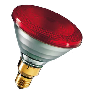 Bailey Electric & Electronics RI38E240150R/01 Glühlampe 150 W