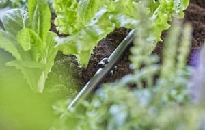Gardena 13208-20 uchwyt do węża ogrodowego Czarny