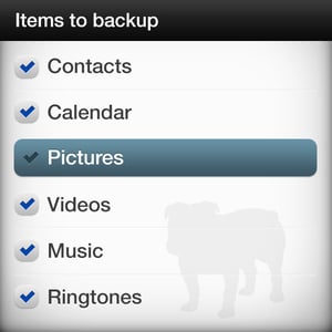 BullGuard Mobile Backup 12 Pełny Kopia zapasowa / odzyskiwanie 1 lat(a)