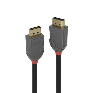 Lindy 36480 DisplayPort-Kabel 0,5 m Schwarz