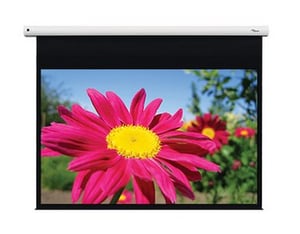 Optoma DE-1123EGA Projektionsleinwand 3,12 m (123") 16:10