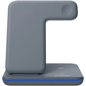 Canyon WS-303 Grau Schnellladung