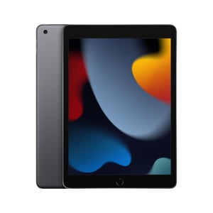 Apple iPad 64 GB 25.9 cm (10.2") Wi-Fi 5 (802.11ac) iPadOS 15 Gray