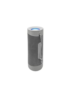 Denver BTV-208G tragbarer Lautsprecher / Party-Lautsprecher Tragbarer Mono-Lautsprecher Silber 100 W
