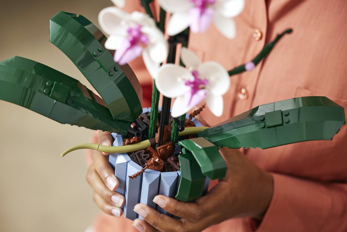 LEGO Botanicals Orchidea