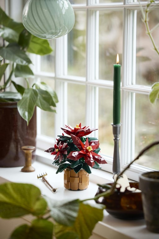 LEGO Botanicals Gwiazda Betlejemska