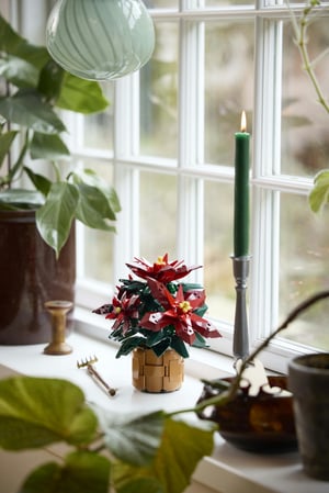 LEGO Botanicals Gwiazda Betlejemska