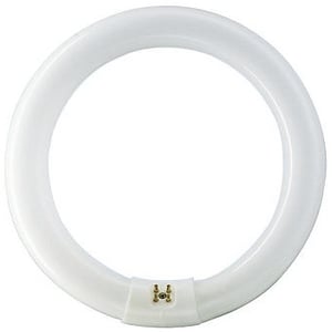Philips 22 W G10q lysrör, neutralvitt